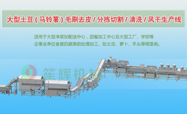 江阳连续式土豆去皮清洗切割风干生产线